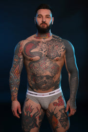 INSIGNIA BRIEF