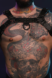 Beef Harness